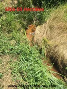 Fazenda / Sítio / Chácara com 1 Quarto à venda, 140000m² no Centro, Bom Jardim de Minas - Foto 3