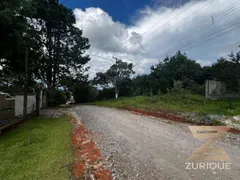 Terreno / Lote / Condomínio à venda, 1000m² no Alto da Boa Vista, Campos do Jordão - Foto 8