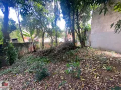 Terreno / Lote / Condomínio à venda, 300m² no Vila Mascote, São Paulo - Foto 4