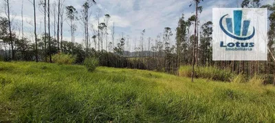 Fazenda / Sítio / Chácara à venda, 32600m² no Centro Tres Pontes, Amparo - Foto 6