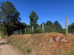 Fazenda / Sítio / Chácara com 2 Quartos à venda, 4400m² no Zona Rural, Mandirituba - Foto 11