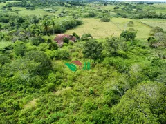 Fazenda / Sítio / Chácara com 3 Quartos à venda, 100m² no Centro, Alagoa Nova - Foto 5