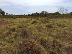 Fazenda / Sítio / Chácara com 1 Quarto à venda, 61000000m² no Vale do Sol, Campo Verde - Foto 7