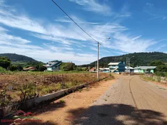 Terreno / Lote / Condomínio à venda, 376m² no Pinhal Alto, Nova Petrópolis - Foto 19