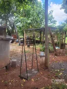 Fazenda / Sítio / Chácara com 3 Quartos à venda, 180m² no , Mandaguaçu - Foto 25