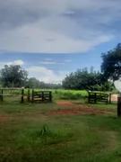 Fazenda / Sítio / Chácara com 2 Quartos à venda, 1340000m² no Zona Rural, Poconé - Foto 5