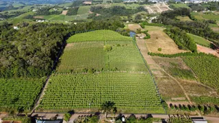 Fazenda / Sítio / Chácara à venda, 24000m² no Zona Rural, Monte Belo do Sul - Foto 1