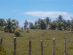 Fazenda / Sítio / Chácara à venda, 100000m² no Mangue Seco, Jandaíra - Foto 8