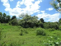 Terreno / Lote / Condomínio à venda, 17280m² no Belém Novo, Porto Alegre - Foto 9