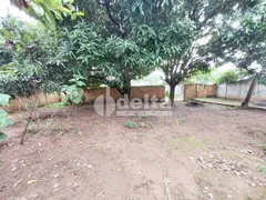 Fazenda / Sítio / Chácara à venda, 1000m² no Morada Nova, Uberlândia - Foto 2