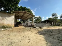 Fazenda / Sítio / Chácara com 3 Quartos à venda, 34656m² no Papucaia, Cachoeiras de Macacu - Foto 26