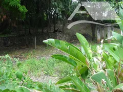 Terreno / Lote Comercial à venda, 1350m² no Siriuba, Ilhabela - Foto 4