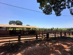 Fazenda / Sítio / Chácara à venda, 2000m² no Rural, Nova Granada - Foto 31