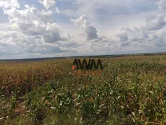 Fazenda / Sítio / Chácara à venda, 160000000m² no , Fortuna - Foto 32