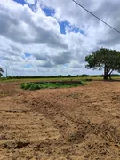 Fazenda / Sítio / Chácara com 3 Quartos à venda, 13500m² no Zona Rural, Monte Alegre - Foto 4