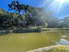 Fazenda / Sítio / Chácara com 4 Quartos à venda, 24000m² no Roça Velha, São José dos Pinhais - Foto 31