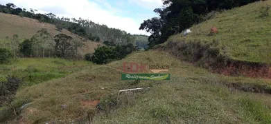 Fazenda / Sítio / Chácara com 4 Quartos à venda, 121000m² no Santa Terezinha, São Luiz do Paraitinga - Foto 16