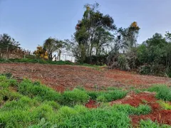 Terreno / Lote / Condomínio à venda, 32000m² no Centro, Campo Magro - Foto 3