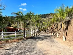 Fazenda / Sítio / Chácara com 4 Quartos à venda, 150m² no Volta do Piao, Teresópolis - Foto 4