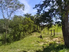 Fazenda / Sítio / Chácara com 2 Quartos à venda, 150m² no , Carmo do Cajuru - Foto 12