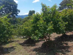 Fazenda / Sítio / Chácara com 4 Quartos à venda, 45000m² no Chacara Paraiso, Nova Friburgo - Foto 33