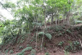 Terreno / Lote / Condomínio à venda, 3000m² no Cascata dos Amores, Teresópolis - Foto 4