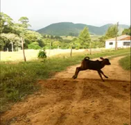 Fazenda / Sítio / Chácara com 8 Quartos à venda, 700m² no Centro, Cabreúva - Foto 19