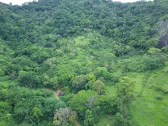 Fazenda / Sítio / Chácara à venda, 100000m² no Condusa, Vitória - Foto 9