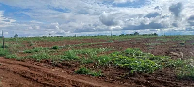 Fazenda / Sítio / Chácara com 2 Quartos à venda, 420000m² no Paranoá, Brasília - Foto 27