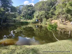 Fazenda / Sítio / Chácara com 3 Quartos à venda, 10000m² no Centro, Biritiba Mirim - Foto 16