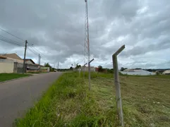 Terreno / Lote Comercial para alugar, 2340m² no Gralha Azul, Fazenda Rio Grande - Foto 4