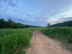 Fazenda / Sítio / Chácara à venda no Fronteira, Santo Antônio do Leverger - Foto 2