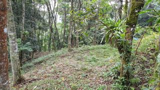 Terreno / Lote / Condomínio à venda, 5025m² no Cascata dos Amores, Teresópolis - Foto 9