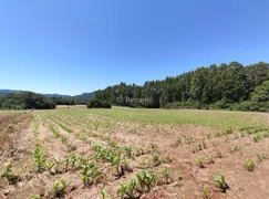 Fazenda / Sítio / Chácara à venda, 22500m² no , Gramado - Foto 7