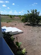 Fazenda / Sítio / Chácara com 3 Quartos à venda, 3000m² no Centro, Ceará Mirim - Foto 4