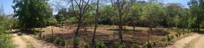 Fazenda / Sítio / Chácara com 3 Quartos à venda, 24200m² no Recreio Floresta, Jaguariúna - Foto 11