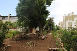 Terreno / Lote / Condomínio à venda, 488m² no Carioca, São José dos Pinhais - Foto 3