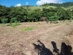 Fazenda / Sítio / Chácara com 3 Quartos à venda, 5000m² no Comunidade Urbana de Rio Grande, Guarapari - Foto 20
