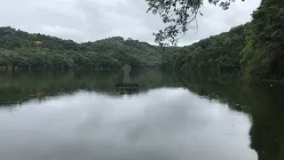 Fazenda / Sítio / Chácara com 3 Quartos à venda, 60m² no Centro, Bocaiúva do Sul - Foto 14