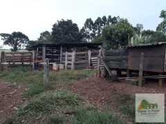 Fazenda / Sítio / Chácara com 3 Quartos à venda, 34000m² no Centro, Cesário Lange - Foto 11