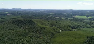 Fazenda / Sítio / Chácara com 5 Quartos à venda, 4300m² no , Ribeirão Branco - Foto 5