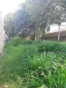 Terreno / Lote Comercial para alugar, 360m² no Jardim Nova Europa, Campinas - Foto 2