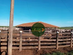 Fazenda / Sítio / Chácara à venda, 51546000m² no Zona Rural, Campos Belos - Foto 1