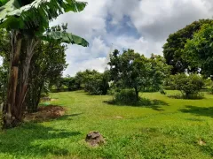 Fazenda / Sítio / Chácara com 4 Quartos à venda, 900m² no Campininha Canguera, São Roque - Foto 69