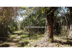 Fazenda / Sítio / Chácara com 2 Quartos à venda, 90000m² no Varginha, Santo Antônio do Leverger - Foto 28