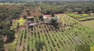 Fazenda / Sítio / Chácara com 2 Quartos à venda, 12m² no Zona Rural, Poconé - Foto 5