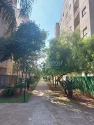 Apartamento com 2 Quartos à venda, 47m² no VILA FAUSTINA II, Valinhos - Foto 10