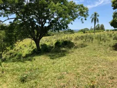 Fazenda / Sítio / Chácara com 1 Quarto à venda, 30000m² no , Faxinal - Foto 5