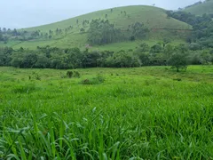 Terreno / Lote Comercial à venda, 20000m² no São Francisco Xavier, São José dos Campos - Foto 17