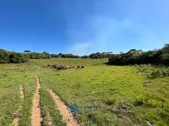 Fazenda / Sítio / Chácara à venda, 80m² no Vila Seca, Caxias do Sul - Foto 18